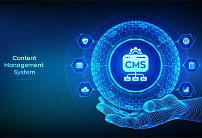 CMS Web Development