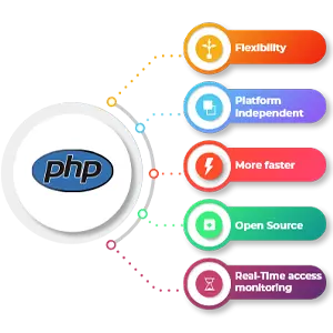 Professional PHP Web Development in Kerala