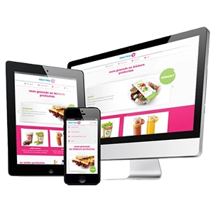 Mobile-Ready Web Design for a Digital Kerala